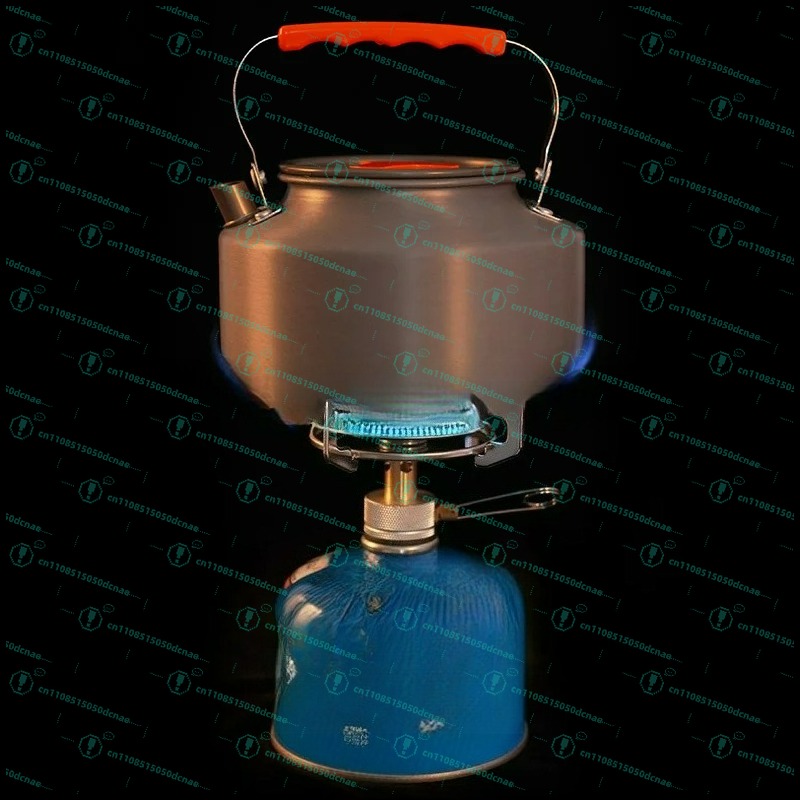 Fornello a gas da esterno, tip - Outdoor Camping Gas Stove recensione e prezzo