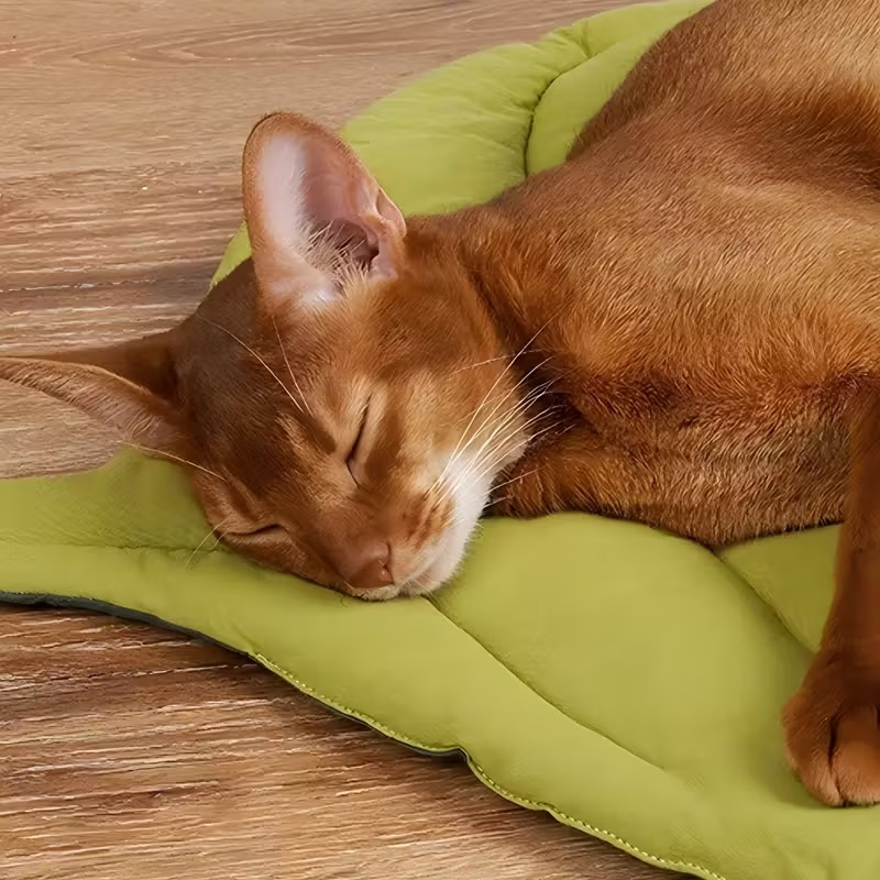 Cuscino Reversibile Morbido a  - Outdoor Camping Dog Bed recensione e prezzo