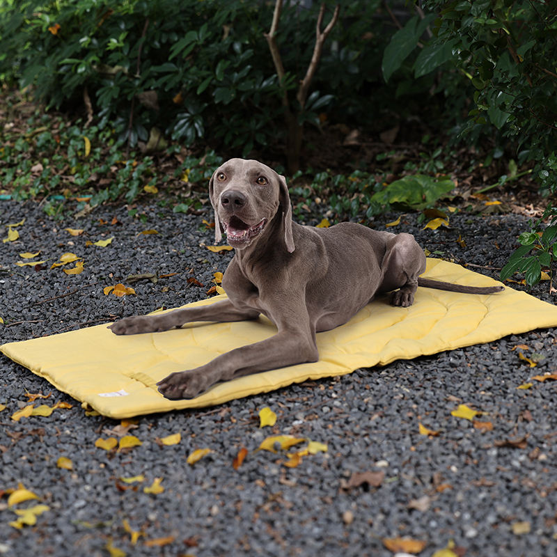 Tappetino per animali domestic - Outdoor Camping Dog Bed recensione e prezzo