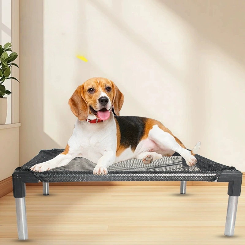 Letto per cani rialzato rinfre - Outdoor Camping Dog Bed recensione e prezzo