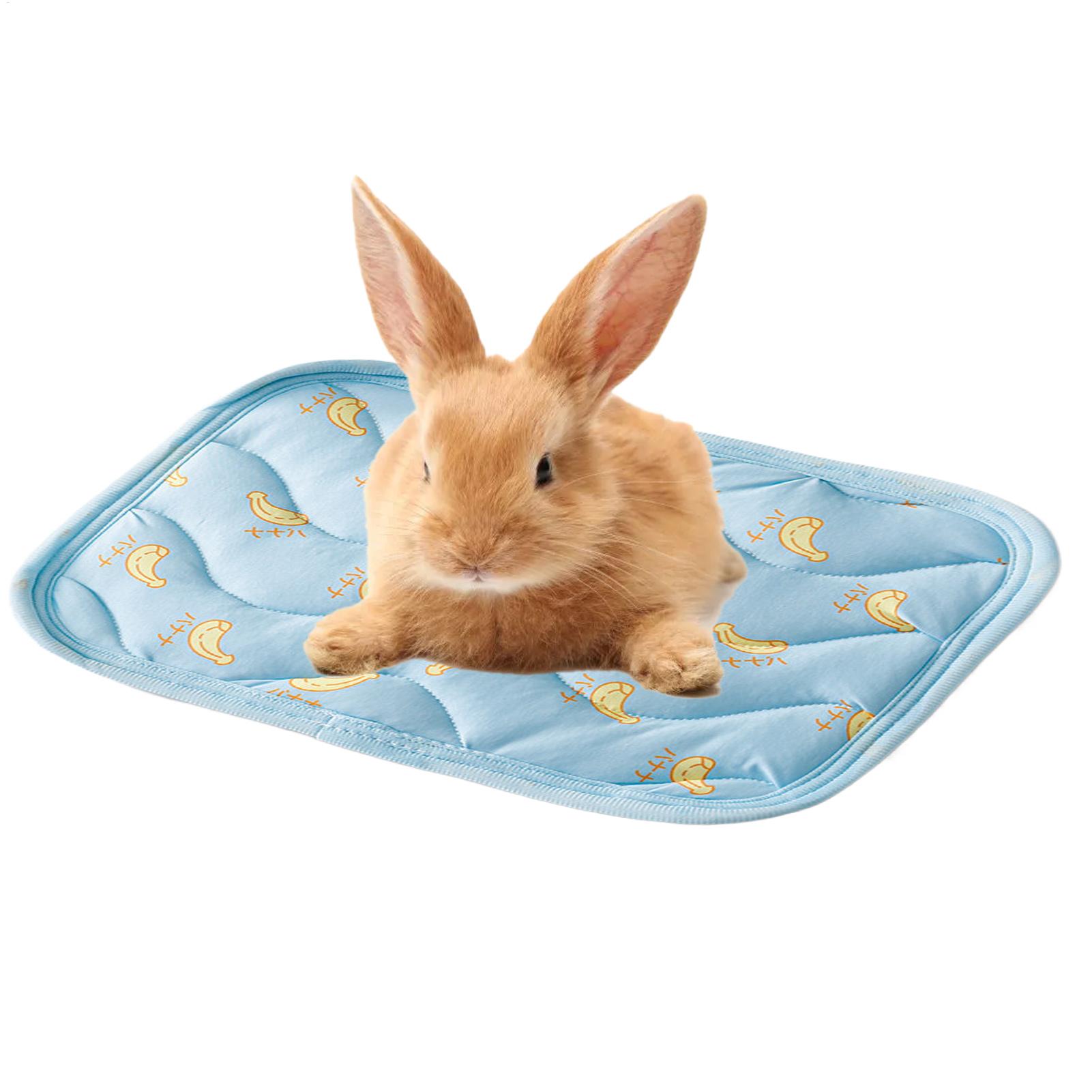 Tappetino Refrigerante Portati - Outdoor Camping Dog Bed recensione e prezzo