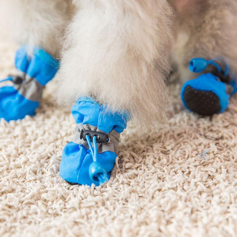 4 pezzi scarpe per cani di pic - Outdoor Camping Slippers recensione e prezzo