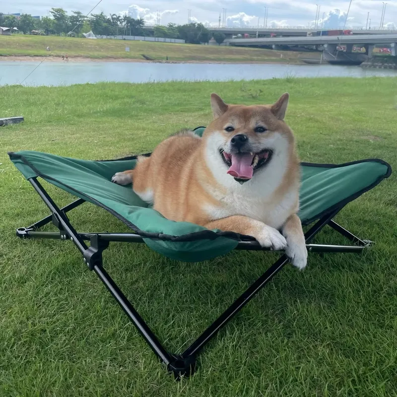 Cuccia Portatile Lusso Moderna - Outdoor Camping Dog Bed recensione e prezzo